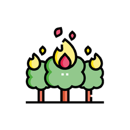 Wildfire Forecasting