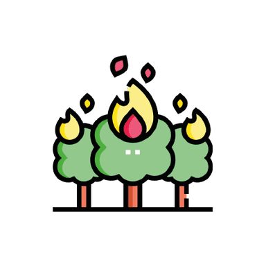Wildfire Forecasting