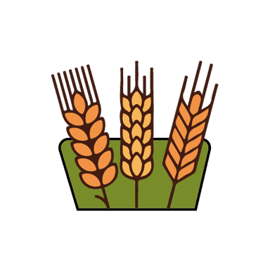 Crop Classification