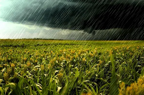 Hyperlocal Weather Prediction: A Lifeline for Hundreds of Millions of Farmers in the Tropics