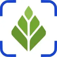 Scalion